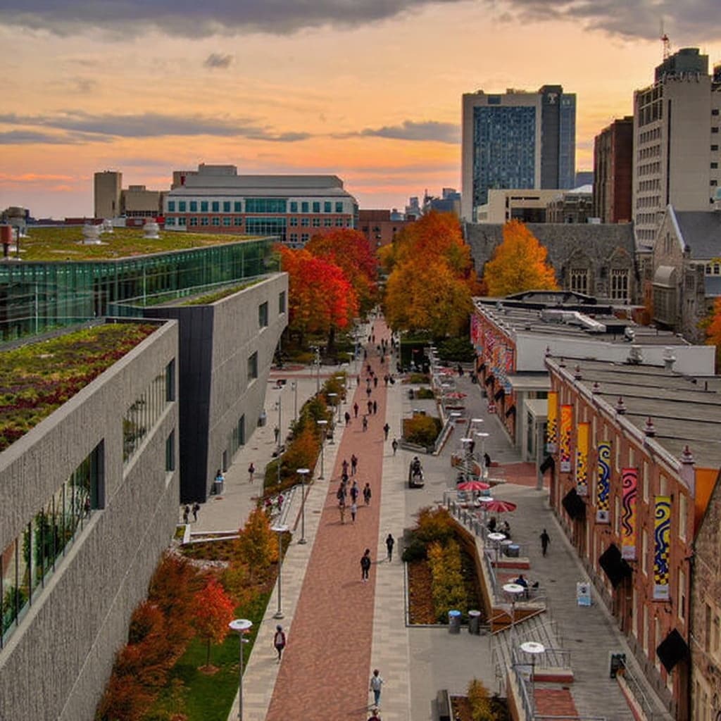 Temple University campus banner